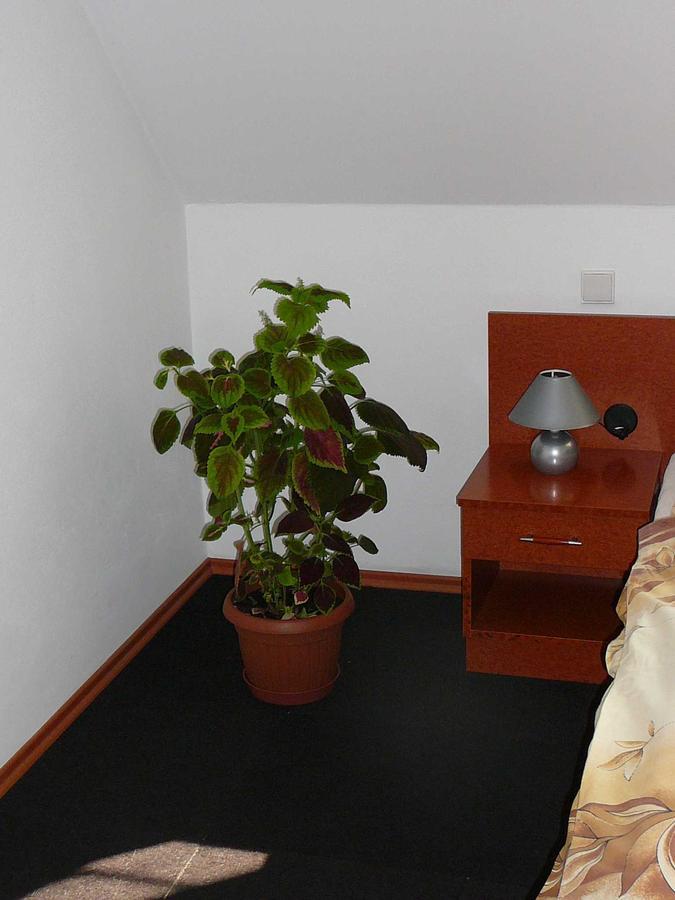 Penzion Praktik Krumlov Přísečná الغرفة الصورة